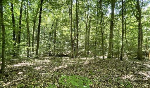 Photo #21 of Off Bell Road, Powhatan, VA 6.8 acres