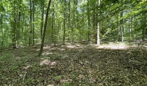 Photo #22 of Off Bell Road, Powhatan, VA 6.8 acres