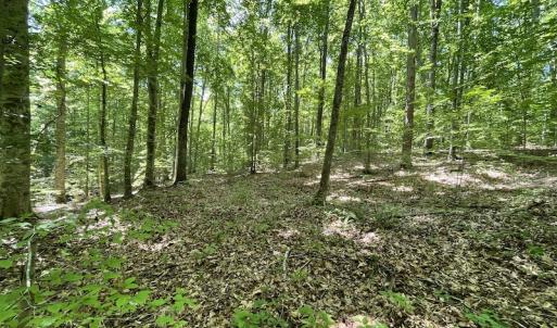 Photo #23 of Off Bell Road, Powhatan, VA 6.8 acres
