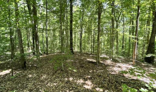 Photo #24 of Off Bell Road, Powhatan, VA 6.8 acres
