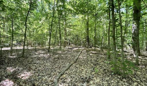 Photo #25 of Off Bell Road, Powhatan, VA 6.8 acres