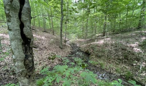 Photo #26 of Off Bell Road, Powhatan, VA 6.8 acres