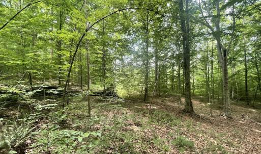 Photo #27 of Off Bell Road, Powhatan, VA 6.8 acres