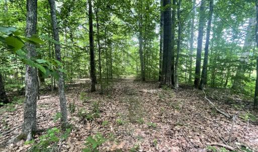 Photo #28 of Off Bell Road, Powhatan, VA 6.8 acres