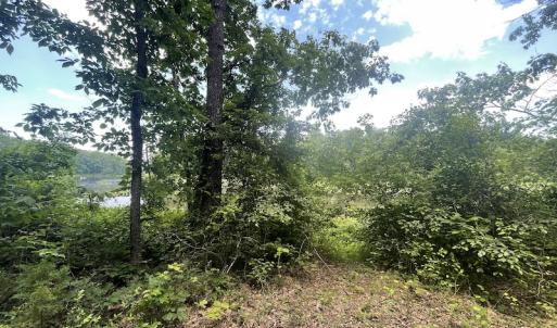 Photo #30 of Off Bell Road, Powhatan, VA 6.8 acres