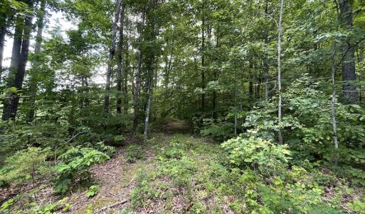 Photo #31 of Off Bell Road, Powhatan, VA 6.8 acres