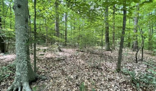 Photo #32 of Off Bell Road, Powhatan, VA 6.8 acres