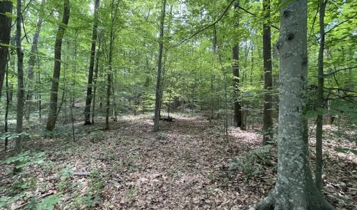 Photo #33 of Off Bell Road, Powhatan, VA 6.8 acres