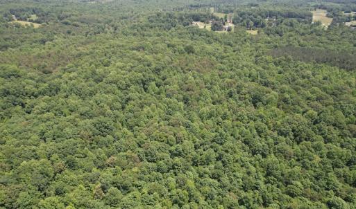 Photo #5 of Off Bell Road, Powhatan, VA 6.8 acres