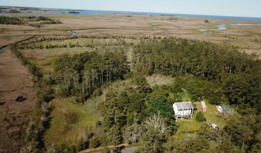 Photo #4 of SOLD property in 13360 Cattail Rd , Mears, VA 46.0 acres