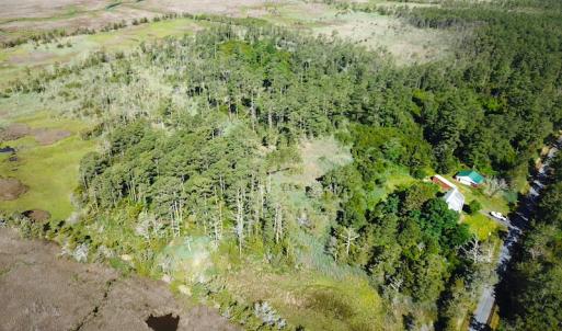 Photo #5 of SOLD property in 13360 Cattail Rd , Mears, VA 46.0 acres