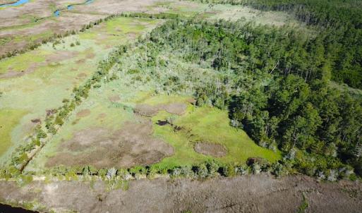 Photo #6 of SOLD property in 13360 Cattail Rd , Mears, VA 46.0 acres