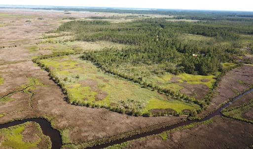 Photo #8 of SOLD property in 13360 Cattail Rd , Mears, VA 46.0 acres