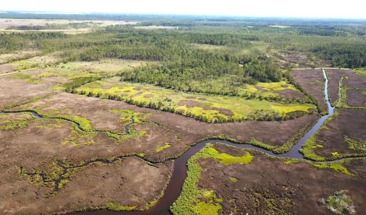 Photo #9 of SOLD property in 13360 Cattail Rd , Mears, VA 46.0 acres