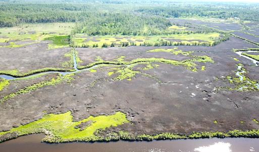 Photo #13 of SOLD property in 13360 Cattail Rd , Mears, VA 46.0 acres