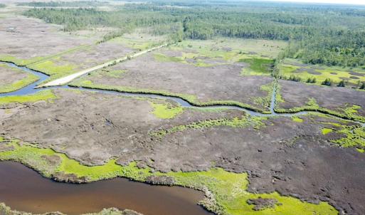Photo #14 of SOLD property in 13360 Cattail Rd , Mears, VA 46.0 acres