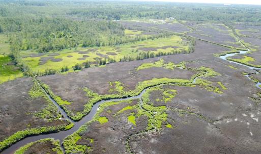 Photo #15 of SOLD property in 13360 Cattail Rd , Mears, VA 46.0 acres