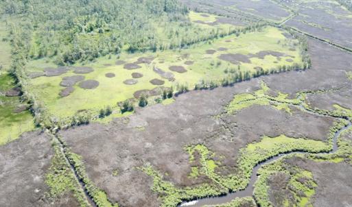 Photo #16 of SOLD property in 13360 Cattail Rd , Mears, VA 46.0 acres