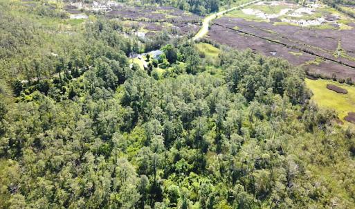 Photo #17 of SOLD property in 13360 Cattail Rd , Mears, VA 46.0 acres
