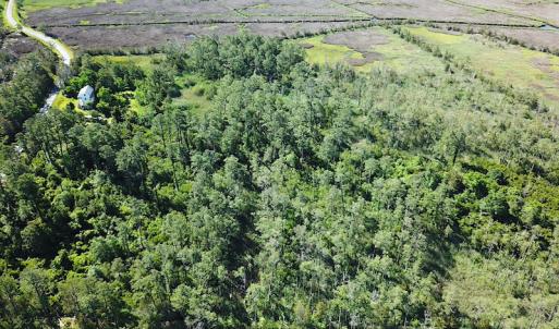 Photo #18 of SOLD property in 13360 Cattail Rd , Mears, VA 46.0 acres