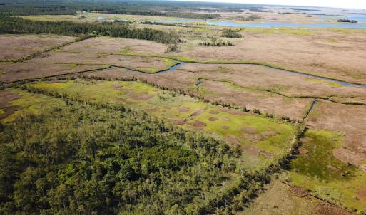 Photo #19 of SOLD property in 13360 Cattail Rd , Mears, VA 46.0 acres