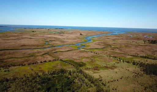Photo #21 of SOLD property in 13360 Cattail Rd , Mears, VA 46.0 acres
