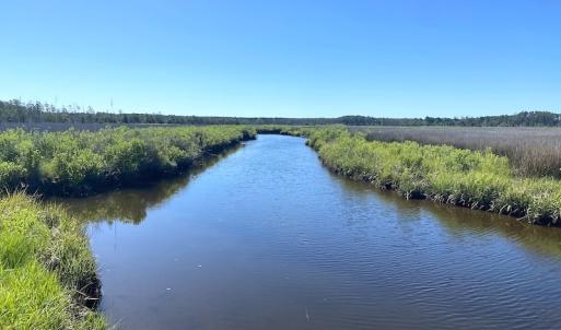 Photo #32 of SOLD property in 13360 Cattail Rd , Mears, VA 46.0 acres