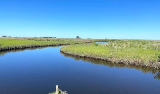Photo #33 of SOLD property in 13360 Cattail Rd , Mears, VA 46.0 acres