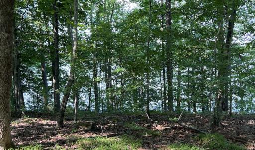 Photo #11 of SOLD property in Off Mountain Rock Trail, Boydton, VA 0.7 acres