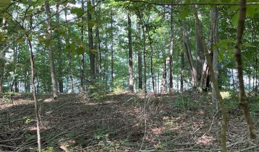 Photo #12 of SOLD property in Off Mountain Rock Trail, Boydton, VA 0.7 acres