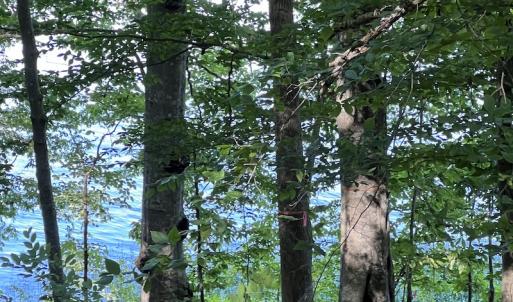 Photo #13 of SOLD property in Off Mountain Rock Trail, Boydton, VA 0.7 acres