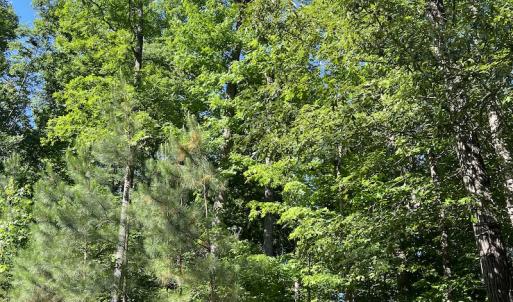 Photo #6 of SOLD property in Off Mountain Rock Trail, Boydton, VA 0.7 acres