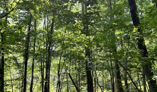 Photo #7 of SOLD property in Off Mountain Rock Trail, Boydton, VA 0.7 acres