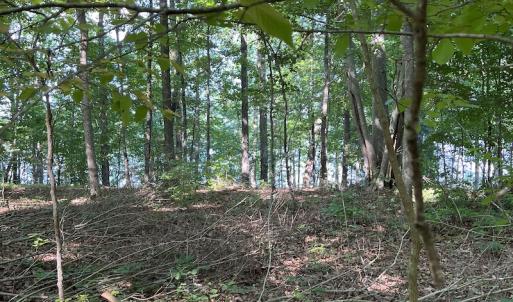Photo #8 of SOLD property in Off Mountain Rock Trail, Boydton, VA 0.7 acres
