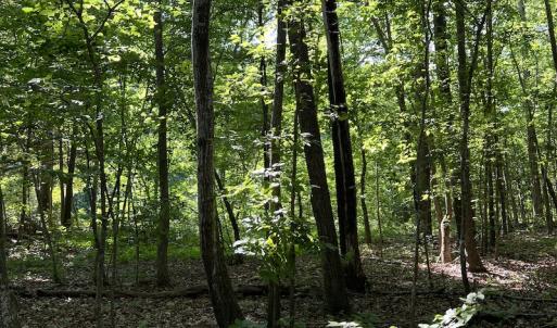 Photo #9 of SOLD property in Off Mountain Rock Trail, Boydton, VA 0.7 acres