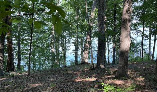 Photo #10 of SOLD property in Off Mountain Rock Trail, Boydton, VA 0.7 acres