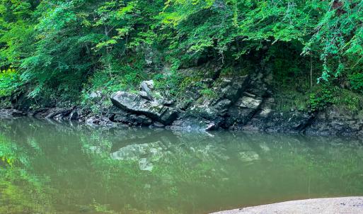 Photo #56 of SOLD property in Off Woodsdale Road & Hideaway Trail, Roxboro, NC 88.1 acres