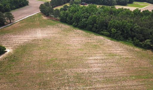 Photo #2 of SOLD property in Lot 2 Corinth Chapel Rd Suffolk VA, Suffolk, VA 2.0 acres