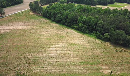 Photo #2 of SOLD property in Lot 3 Corinth Chapel Rd, Suffolk, VA 1.5 acres