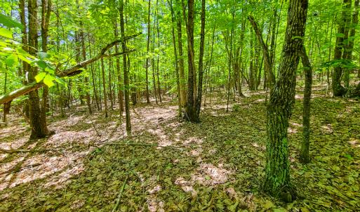Photo #14 of SOLD property in 728 Retreat Drive, Axton, VA 32.4 acres