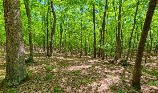 Photo #15 of SOLD property in 728 Retreat Drive, Axton, VA 32.4 acres