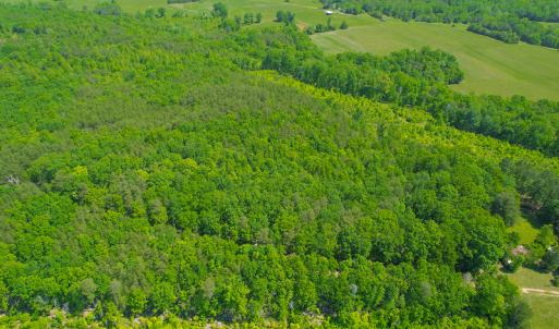 Photo #13 of SOLD property in 728 Retreat Drive, Axton, VA 32.4 acres
