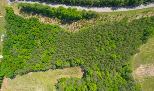 Photo #10 of SOLD property in 728 Retreat Drive, Axton, VA 32.4 acres