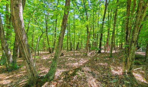 Photo #17 of SOLD property in 728 Retreat Drive, Axton, VA 32.4 acres