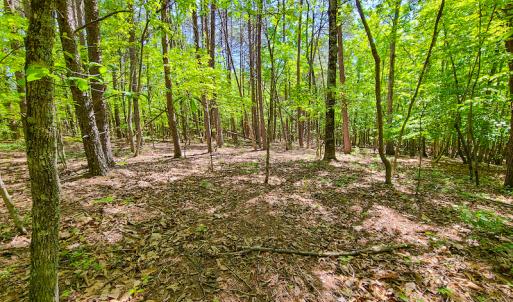 Photo #18 of SOLD property in 728 Retreat Drive, Axton, VA 32.4 acres