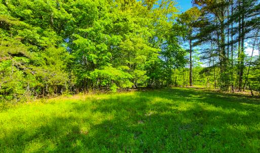 Photo #27 of SOLD property in 728 Retreat Drive, Axton, VA 32.4 acres