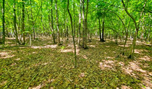 Photo #19 of SOLD property in 728 Retreat Drive, Axton, VA 32.4 acres