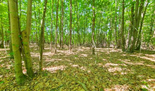 Photo #21 of SOLD property in 728 Retreat Drive, Axton, VA 32.4 acres