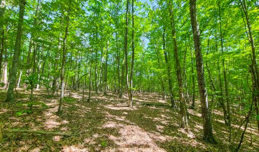 Photo #20 of SOLD property in 728 Retreat Drive, Axton, VA 32.4 acres