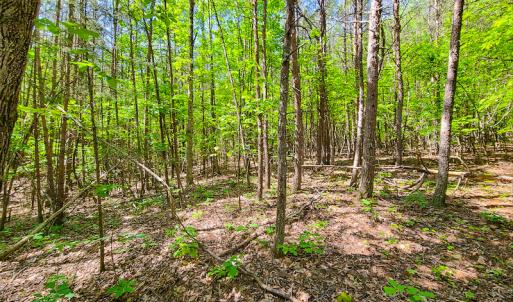 Photo #22 of SOLD property in 728 Retreat Drive, Axton, VA 32.4 acres